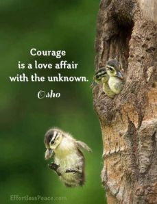 b0560c6e24ebc94bca6748bb024f1a2f